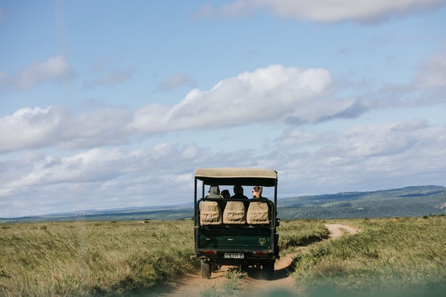 uganda-safari-guide-tourist-attractions-fort-portal-kibale-national-park-elephant-ataco-uganda-hotel