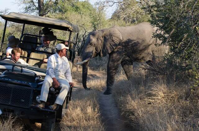 family-safari-guide-ataco fort